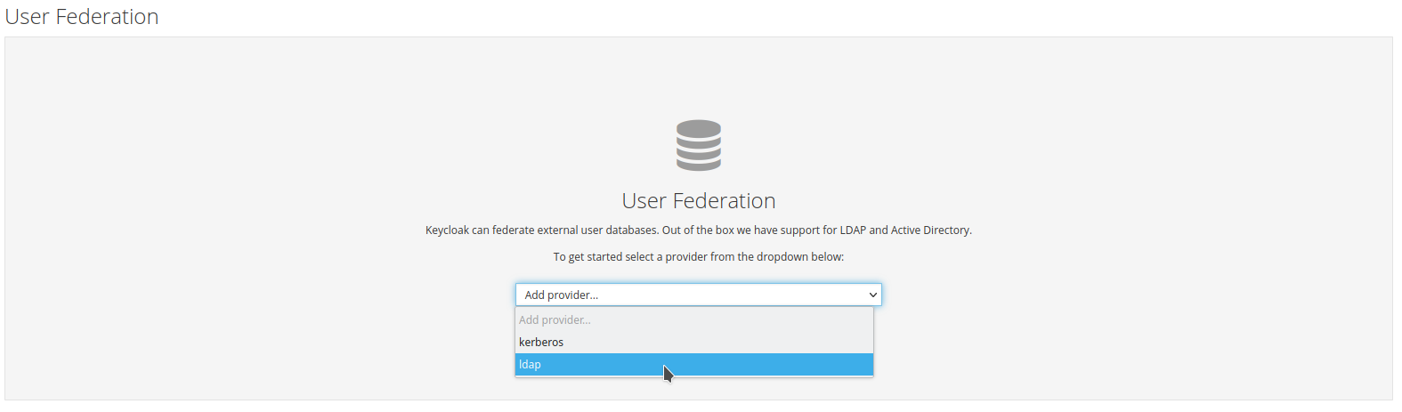 sso ldap provider